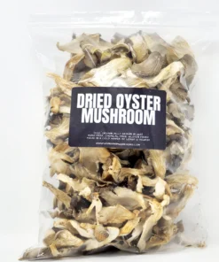 Oyster Dried Mushroom UK