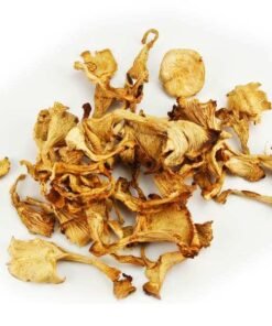 Chanterelle (Girolle) Dried Mushroom UK