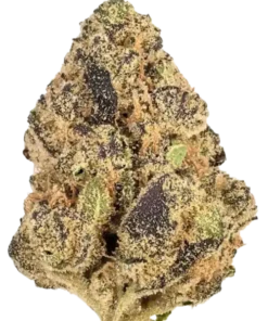 Runtz Cannabis Strain UK