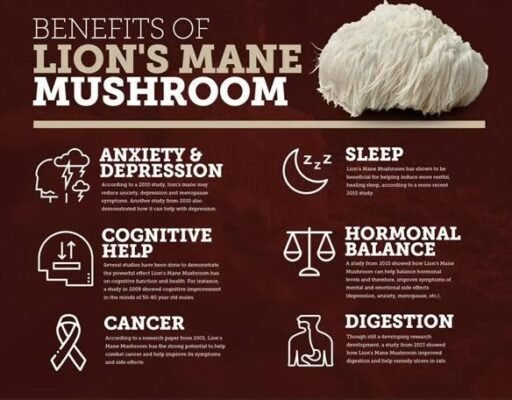 lion's mane benefits