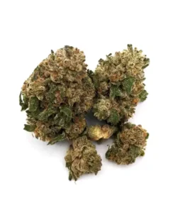 Afghan Kush Cannabis Strain UK