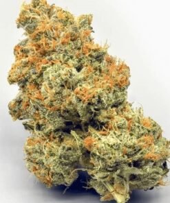 AK-47 Cannabis Strain