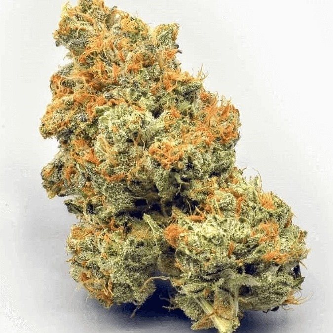 AK-47 Cannabis Strain AK-47 Cannabis Strain