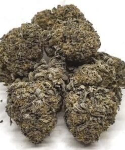 Blue Cheese Cannabis Strain