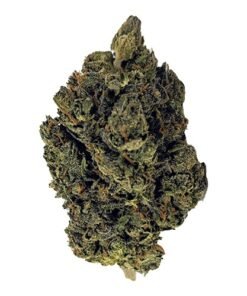 Gelato 41 Cannabis Strain UK