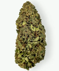 Zkittlez Cannabis Strain UK