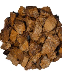 Chaga Dried Mushroom Online UK