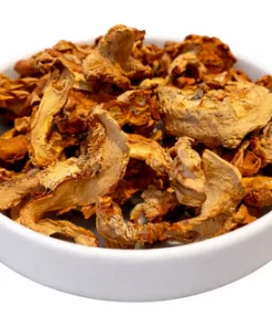 Hedgehog Dried Mushroom UK