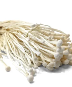 Enoki Dried Mushroom UK