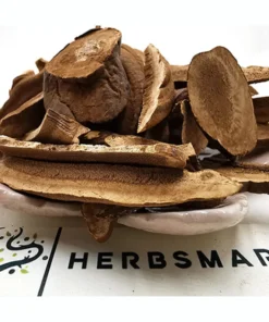 Reishi Dried Mushrooms UK