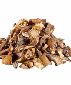 Porcini Dried Mushroom UK