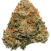 Stardawg Cannabis Strain UK