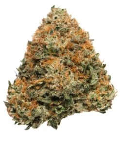 Stardawg Cannabis Strain UK