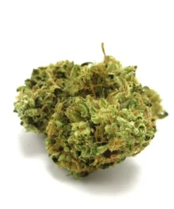 Afgoo Marijuana Strain – Premium Afgoo Cannabis Flower with Dense Frosty Buds