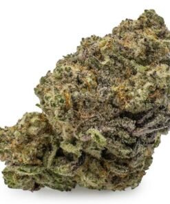 Animal Cookies Cannabis Strain – Premium Animal Cookies Cannabis Flower with Frosty Trichomes