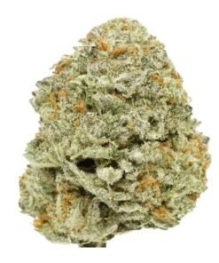Atomic Bomb Weed Strain UK – Premium Cannabis Flower