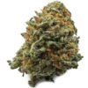 Black Cherry Gelato Weed UK – Premium Cannabis Strain
