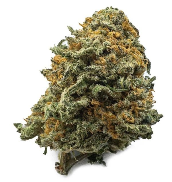 Black Cherry Gelato Weed UK Black Cherry Gelato Weed UK – Premium Cannabis Strain