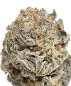 Black Gas Mask x Lavender Strain UK – Cannabis Flower