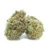 Blue Coma Strain Cannabis UK – Premium Cannabis Flower