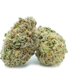 Blue Coma Strain Cannabis UK – Premium Cannabis Flower