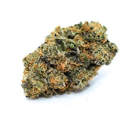 Blue J Marijuana Strain UK Blue J Marijuana Strain UK