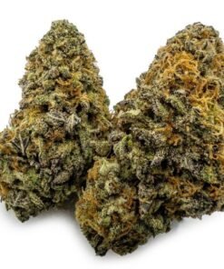 Blueberry Cheesecake Weed UK – Premium Blueberry Cheesecake Cannabis Flower