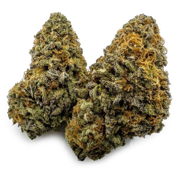 Blueberry Cheesecake Weed UK – Premium Blueberry Cheesecake Cannabis Flower Blueberry Cheesecake Weed UK – Premium Blueberry Cheesecake Cannabis Flower