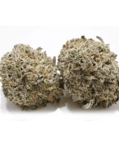 Blueberry Skunk Weed Strain – Fruity and Skunky Cannabis Flower