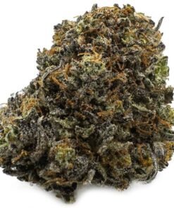 Funky Charms Cannabis Strain – Colourful Fruity Hybrid Cannabis Flower