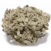 Gas Mask Marijuana Strain UK – Pungent Diesel and Earthy Cannabis Flower