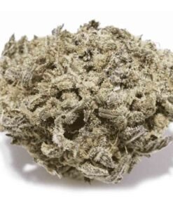 Gas Mask Marijuana Strain UK – Pungent Diesel and Earthy Cannabis Flower