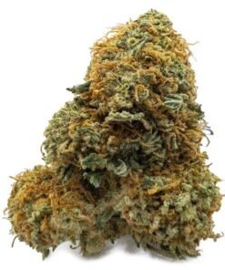 Gelato Runtz Weed Strain UK – Sweet Fruity and Creamy Cannabis Flower