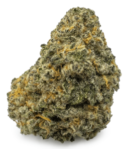 Gingerbread Cookies Weed UK | Gingerbread Cookies Cannabis