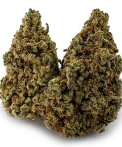 Gummy Bears Weed Strain UK – Premium Gummy Bears Cannabis Flower