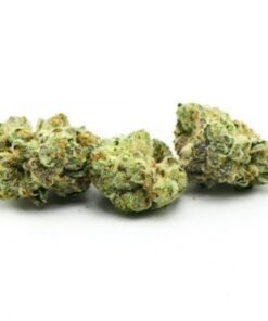 Bruce Banner Weed Strain – Premium Cannabis Flower