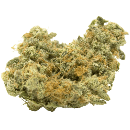 Kali 47 Marijuana Strain – Premium Kali 47 Cannabis Flower with Frosty Trichomes Kali 47 Marijuana Strain – Premium Kali 47 Cannabis Flower with Frosty Trichomes