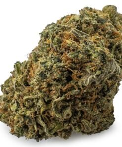 Lemon Sour Diesel Sativa – Premium Lemon Sour Diesel Cannabis Flower with Frosty Trichomes