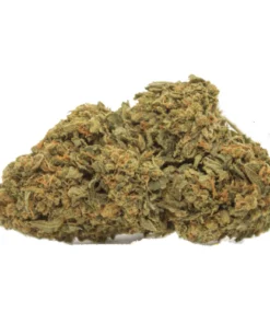 Middlefork x Pineapple Express Cannabis Strain – Tropical Pineapple Express Hybrid Flower