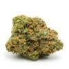Nuken Marijuana Strain UK – Premium Nuken Cannabis Flower