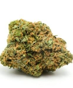 Nuken Marijuana Strain UK – Premium Nuken Cannabis Flower