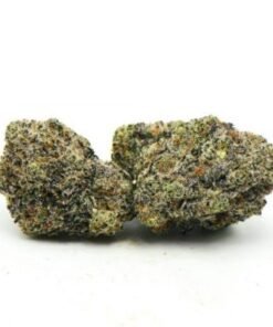 Platinum Oreo Weed Strain – Premium Platinum Oreo Cannabis Flower