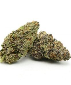 Purple Alien Kush Marijuana Strain UK – Premium Purple Alien Kush Cannabis Flower