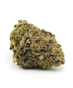 Purple White Lightning Weed – Premium Purple White Lightning Cannabis Flower with Frosty Buds