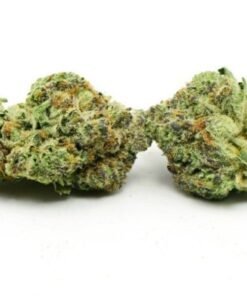 Rockstar Punch Hybrid Marijuana – Premium Rockstar Punch Cannabis Flower
