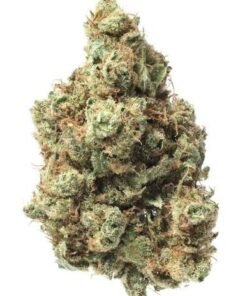 Maui Super Dawg Weed Strain – Premium Cannabis Flower
