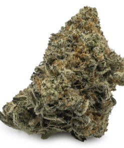 Biscotti Marijuana Strain UK – Premium Biscotti Cannabis Flower with Frosty Trichomes