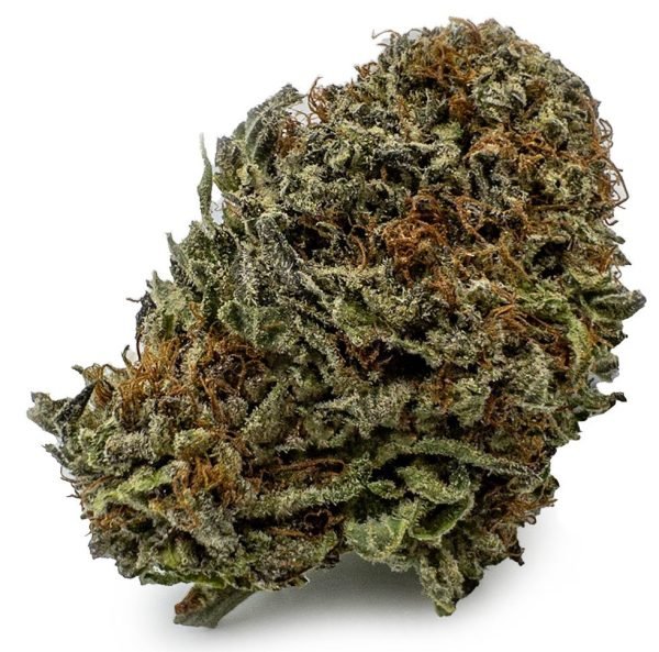 Black Diamond Weed Strain UK – Premium Black Diamond Cannabis Flower with Dark Purple Frosty Buds Black Diamond Weed Strain UK – Premium Black Diamond Cannabis Flower with Dark Purple Frosty Buds
