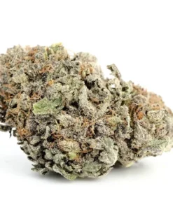 Blackwater Cannabis Strain UK – Premium Blackwater Cannabis Flower with Dark Purple Frosty Buds