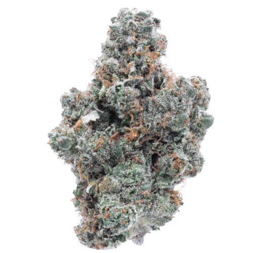Buy Purple Kush Indica Weed UK Buy Purple Kush Indica Weed UK
